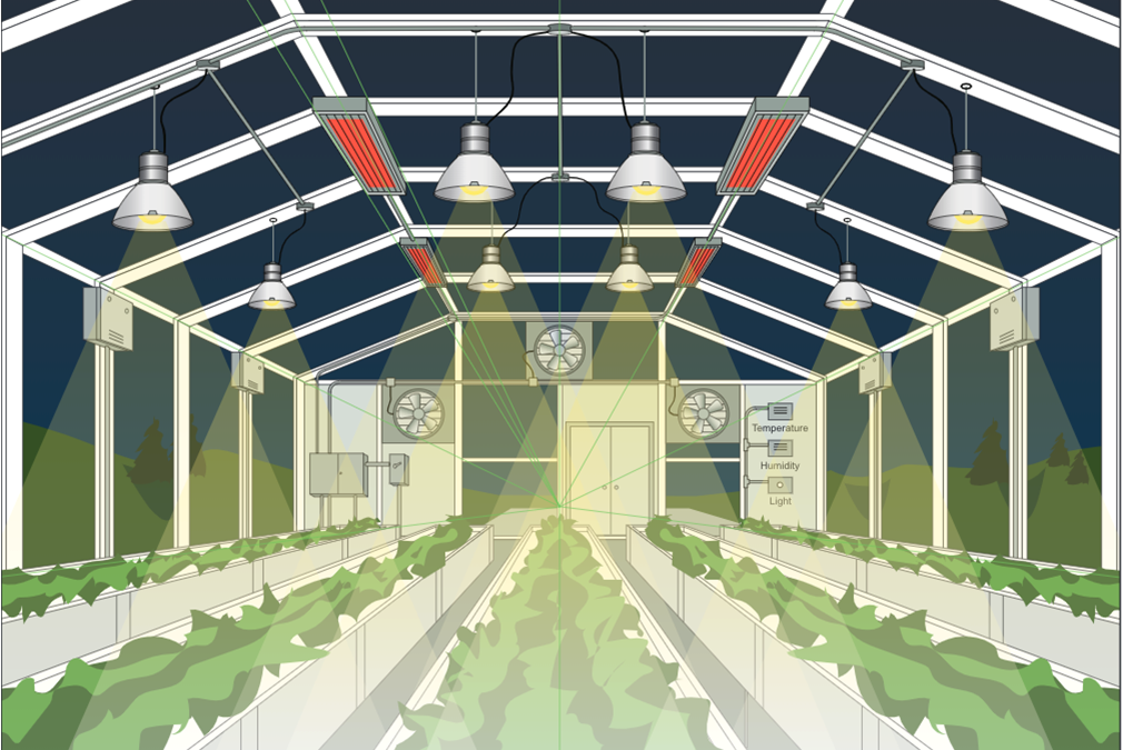 3D Greenhouse Environment